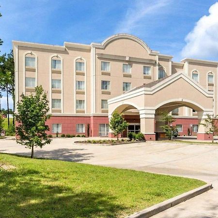 Comfort Suites Mandeville - Covington Exterior foto